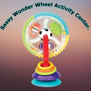 Sassy Wonder Wheel Activity Center.